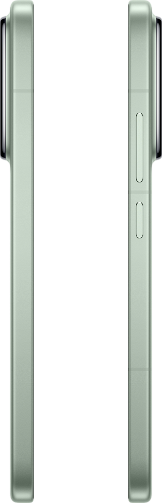 Смартфон Xiaomi 15 12/256GB (зеленый)